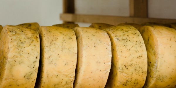 Queso viejo: todo lo que debes saber sobre este clásico con carácter