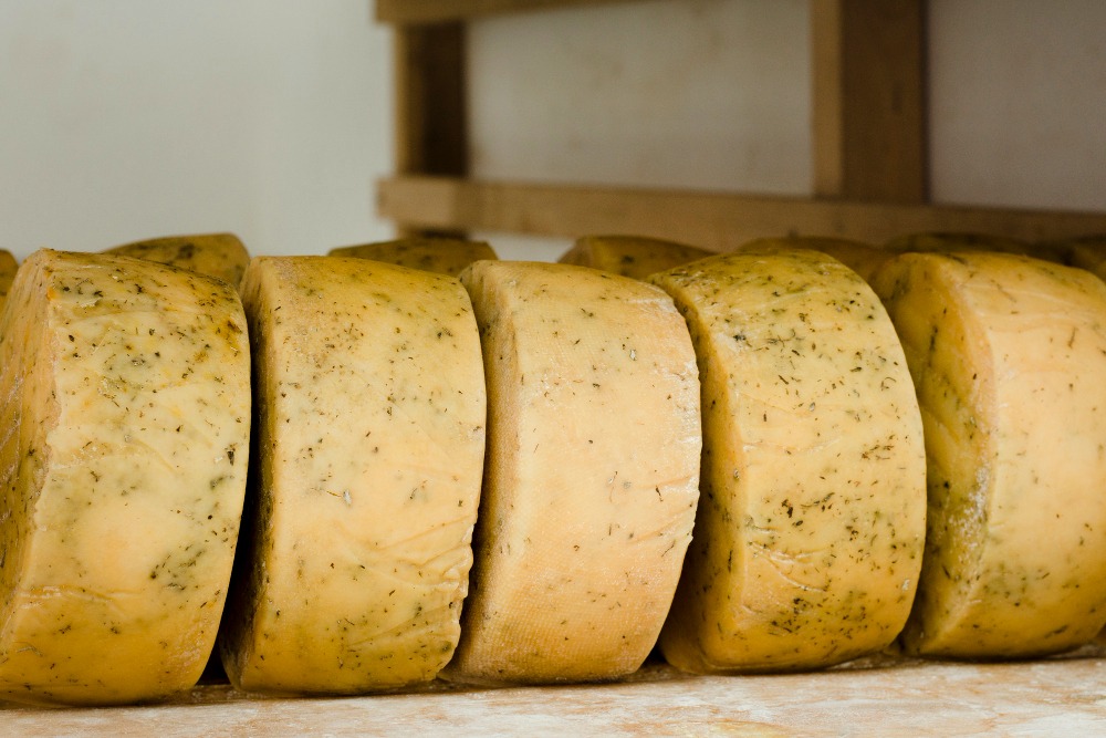 Queso viejo: todo lo que debes saber sobre este clásico con carácter